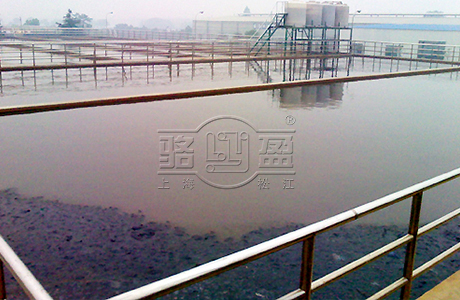 上海駱盈向百色右江區污水處理廠供應橡膠止回閥
